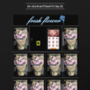 111111 Flower Vending Machine